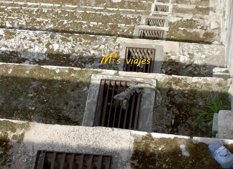 Una iguana verde baja también la escalinata de Chichén Itzá