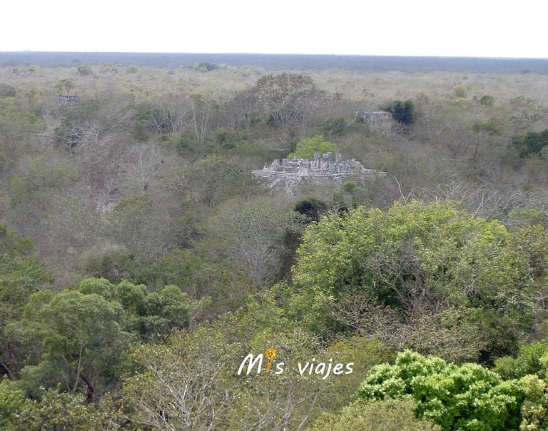 Panorámica de la selva baja en el entorno de Chichén Itzá en México