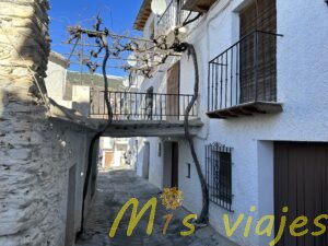 Capileira: El pueblo más alto de la Alpujarra granadina img 4248