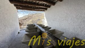img 4288