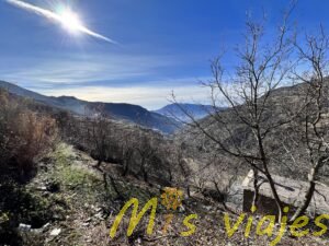 Capileira: El pueblo más alto de la Alpujarra granadina img 4340