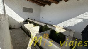 img 4353