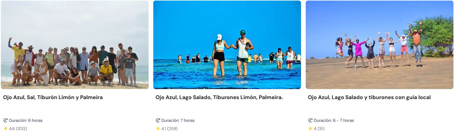 Encuentro con Tiburones Limón en la Isla de Sal tiburones limon cabo verde get your guide