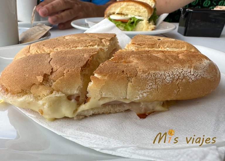 img 4445 con logo mv05rqobxrugzg2r