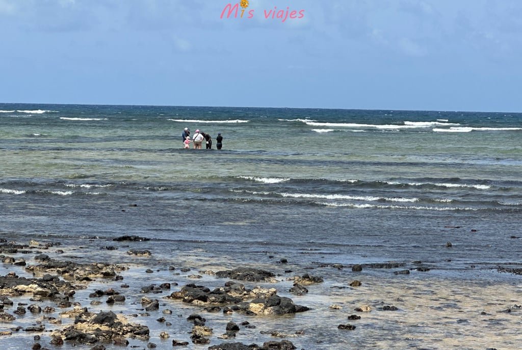 Encuentro con Tiburones Limón en la Isla de Sal img 4605 con logo ynqbprxjz8c9ewnp