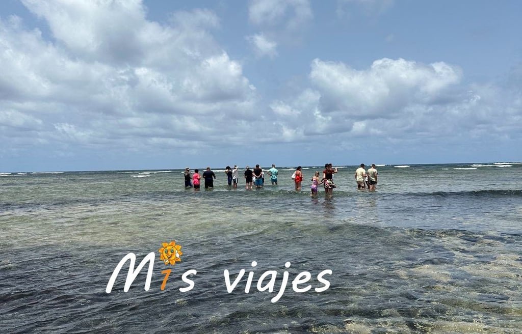 Encuentro con Tiburones Limón en la Isla de Sal img 4718 con logo y4lo1oyl3digbrxq