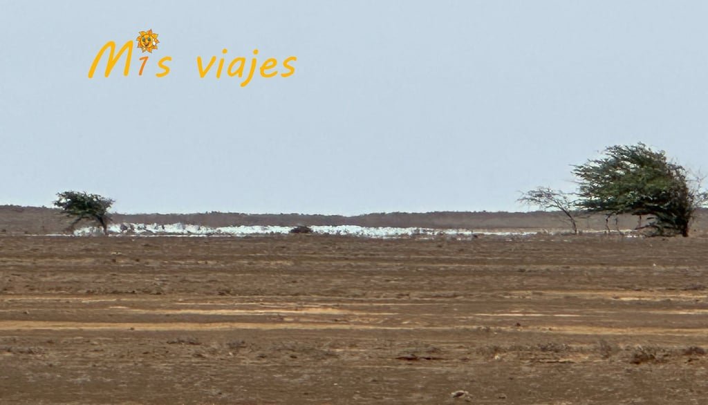 Isla de Sal: Un Paraíso Soleado en Cabo Verde img 4786 con logo avl32pvpqgtvmxvp