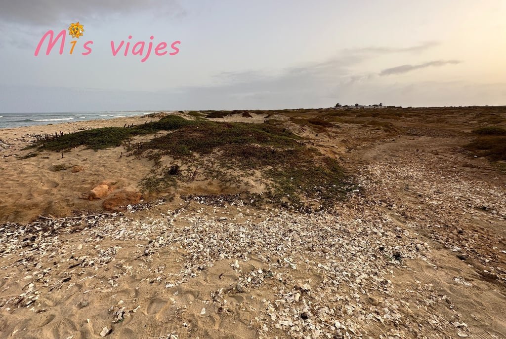 Isla de Sal: Un Paraíso Soleado en Cabo Verde img 4938 con logo awvjv8ng60s22ej4