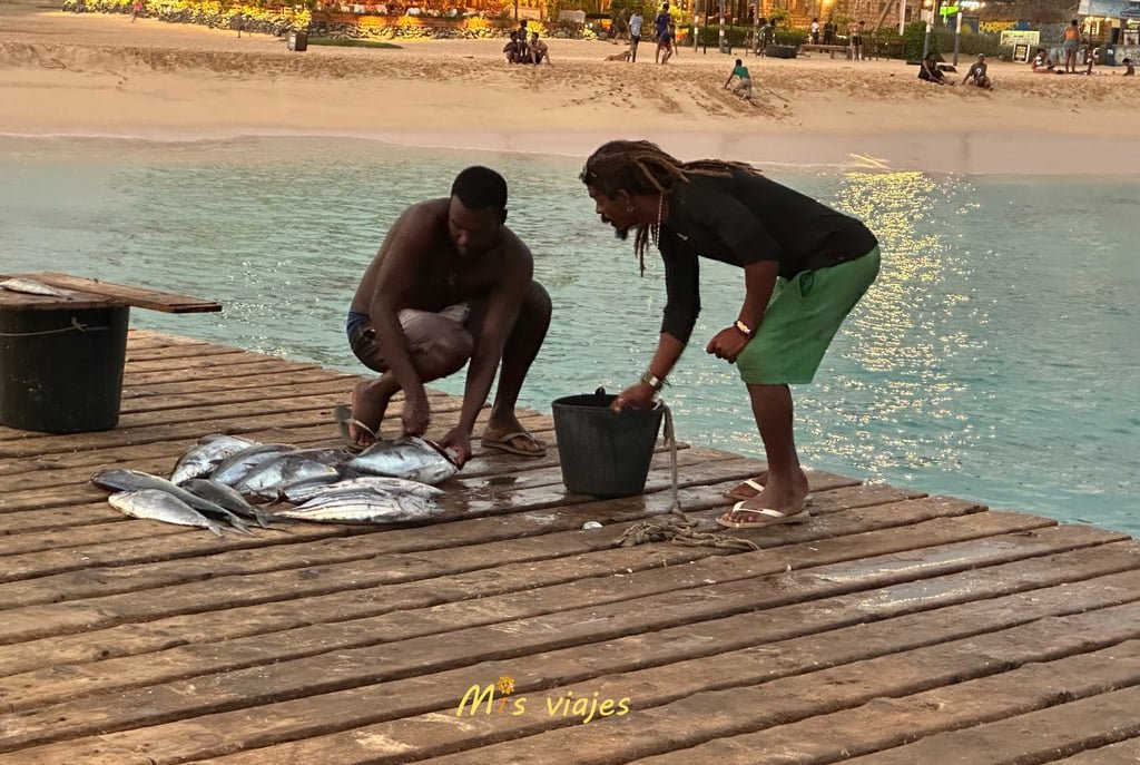 Isla de Sal: Un Paraíso Soleado en Cabo Verde img 4959 con logo mepxop1x3zinwv9y