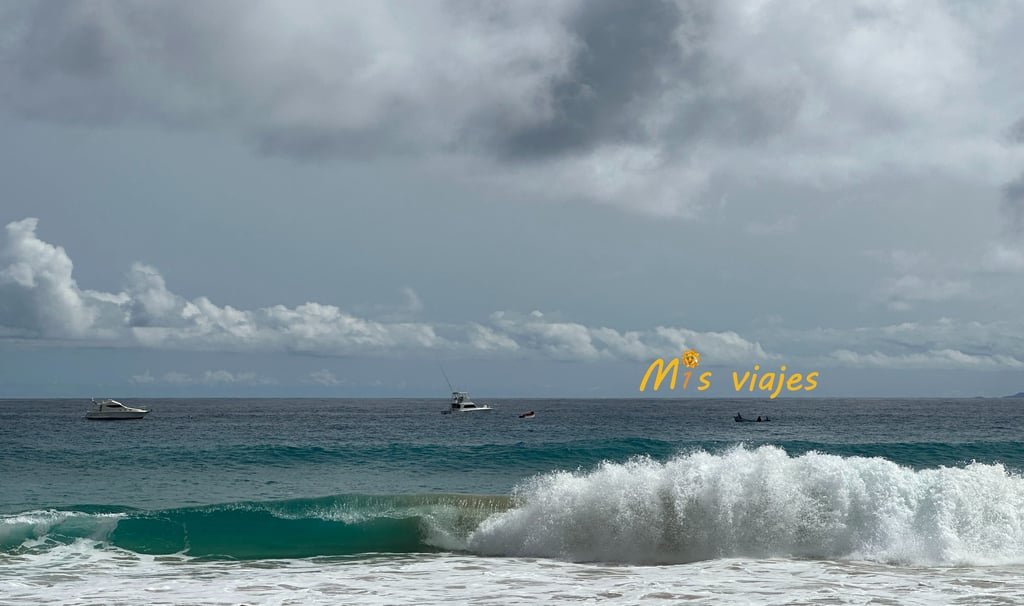 img 5895 con logo ar02wvayv9iyo5p1
