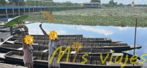 El Mercado de Lotos Flotantes: Belleza sobre el Agua djxi5913 con sonrisa