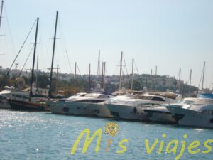 dsc01581