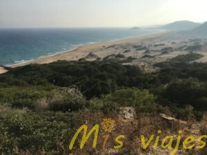 img 1915