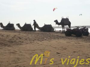 img 3587
