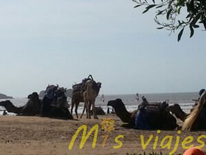 img 3598