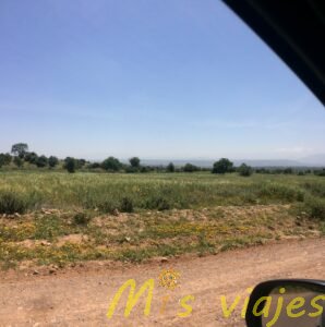 img 3657