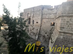 img 8501