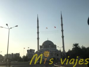 img 8506