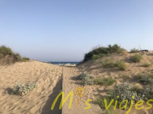 img 8529