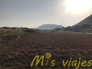 img 8531
