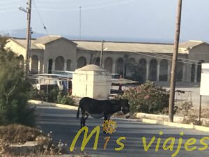 img 8545