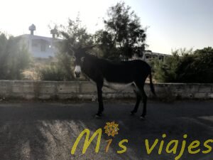 img 8549