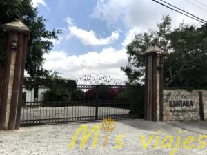 img 8599