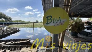 El Mercado de Lotos Flotantes: Belleza sobre el Agua img e8457