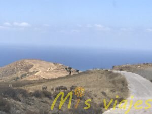 Tras las Huellas de Afrodita: Un viaje por la Costa de Chipre img 8752