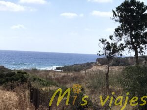 Tras las Huellas de Afrodita: Un viaje por la Costa de Chipre img 8774