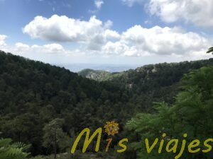 img 8805
