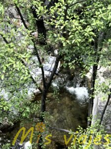 img 8808