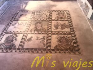 Nea Pafos y la Tumba de los Reyes: Viaje al Corazón de la Chipre Antigua img 8820