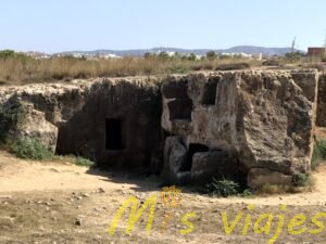 Nea Pafos y la Tumba de los Reyes: Viaje al Corazón de la Chipre Antigua img 8844