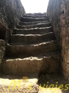 Nea Pafos y la Tumba de los Reyes: Viaje al Corazón de la Chipre Antigua img 8847