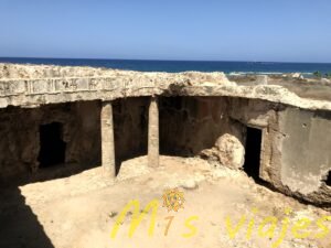 Nea Pafos y la Tumba de los Reyes: Viaje al Corazón de la Chipre Antigua img 8858
